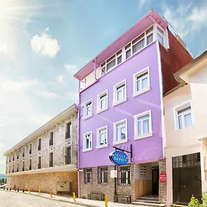 https://seven-roses-apart-hotel.istanbul-turkeyhotels.com